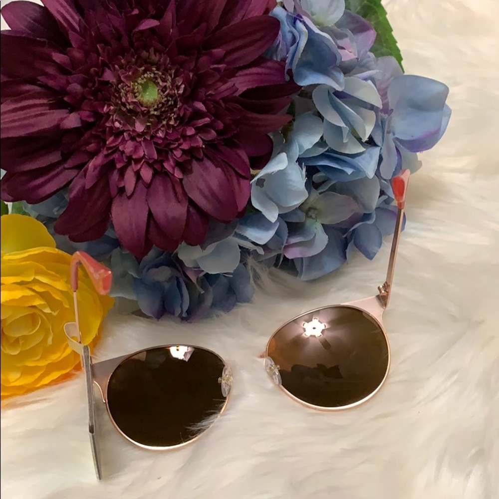 NEW! Panama Jack Rose Gold Polarized Sunglasses - Picture 2 of 4